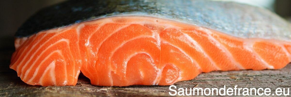 saumondefrance.eu